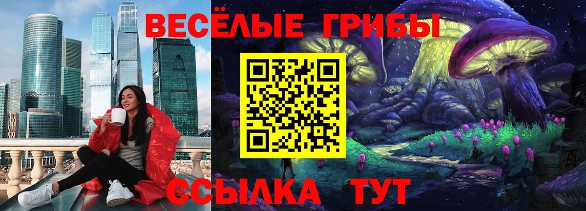 Псилоцибиновые грибы Cubensis  Псилоцибиновые грибы мухоморы  Советская Гавань  Вход с VPN 